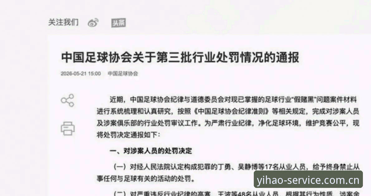 足协第三批禁足名单最新动态：65人受罚，17人终身禁赛，中国足球反腐风暴再升级